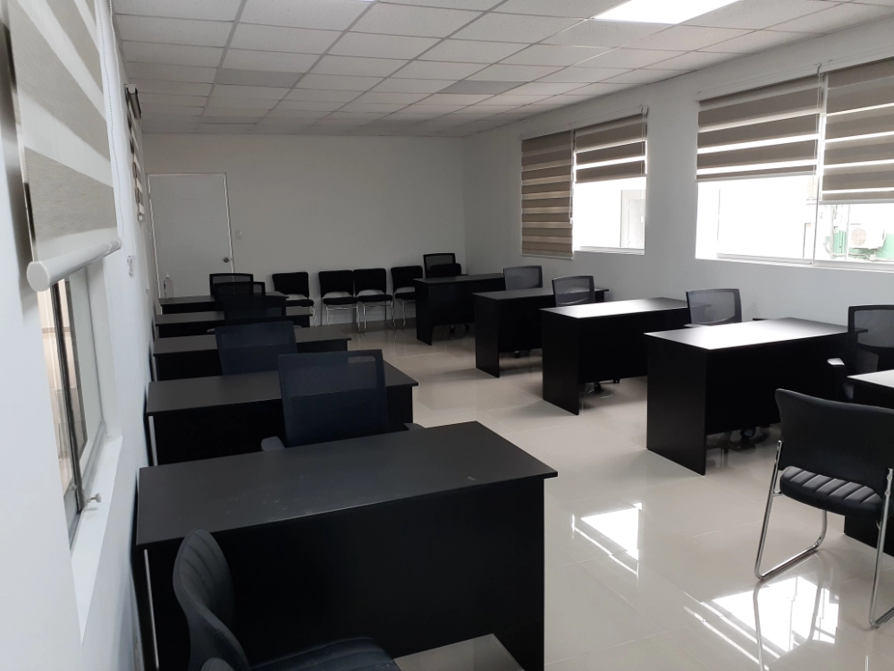 Proyectos